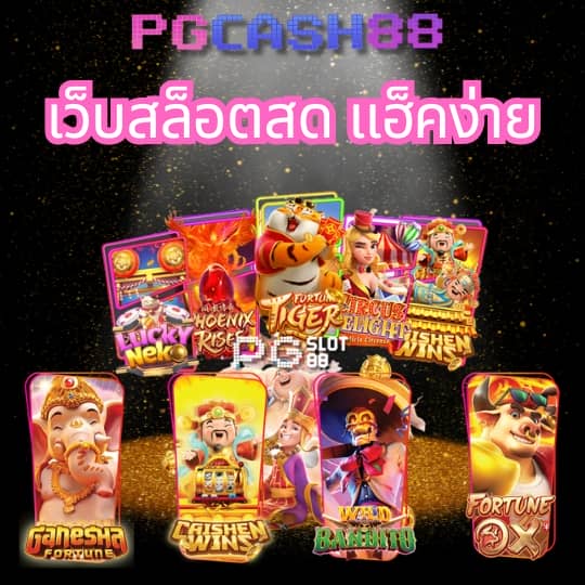 cat8888