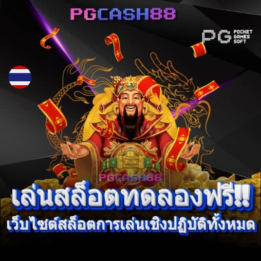 cat8888